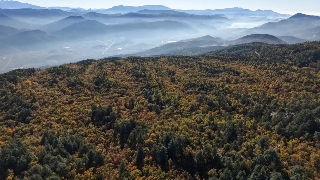 Gezegende Sadece Isparta'da Var 3
